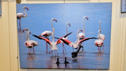 Flamingo Adası Bornova’da kanat açtı