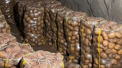 Hepsi geri gönderildi: Yurt dışından gelen 2 bin tondan fazla patates virüslü çıktı