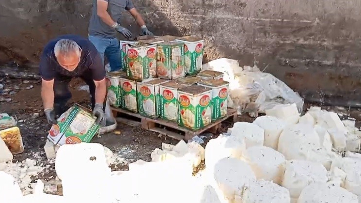 Gıda teröristleri tonlarca bozuk peyniri vatandaşa yedirecekti