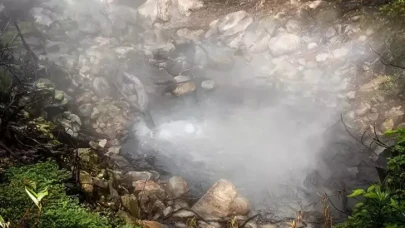 Araştırma: Yanardağlar patlamadan önce ağaçlar sinyal veriyor