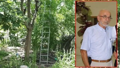 Kiraz ağacından düşüp öldü