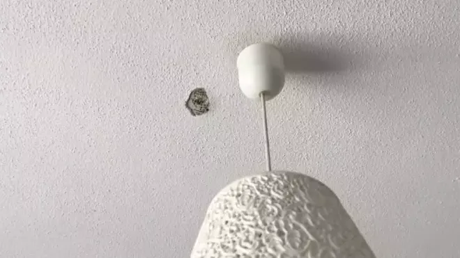 Kardeşinin hilti ile evinin tavanını deldiği iddiasıyla şikayetçi oldu
