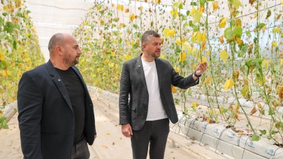 Buca’da Sabotaj Girişimine Karşı Toplu Fide Dikimi Yapılacak