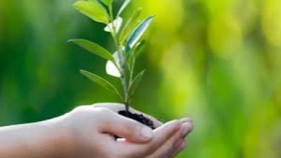 Buca’da Çevre Haftası Dolu Dolu Geçecek