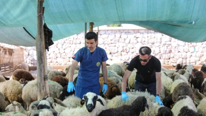 Buca’da Kurban Bayramı öncesi sıkı denetim