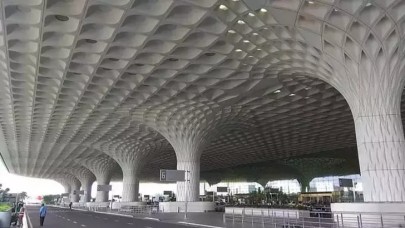 Yolcunun valizinden 48 zehirli yılan ve 5 kaplumbağa çıktı