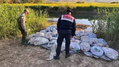 Van'da denetimlerde 22 ton 475 kilogram inci kefali ele geçirildi