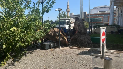 Tarihi Kemeraltı Çarşısı girişindeki dev çınar devrildi