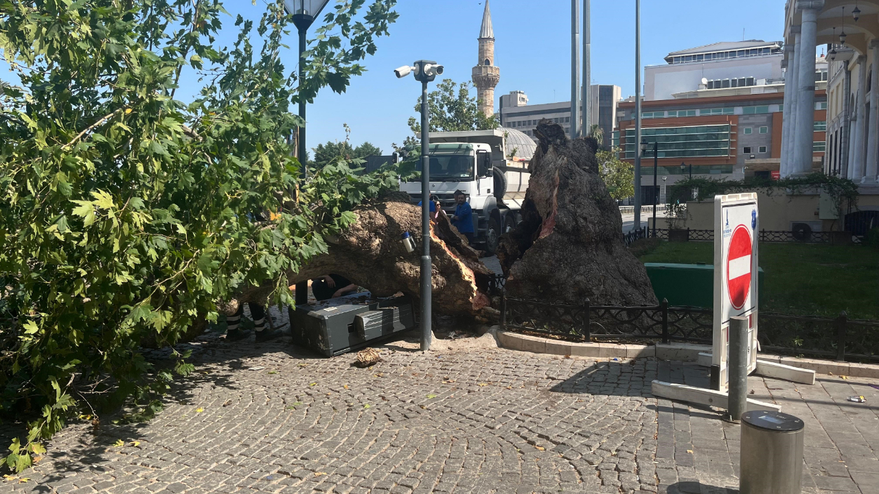 Tarihi Kemeraltı Çarşısı girişindeki dev çınar devrildi