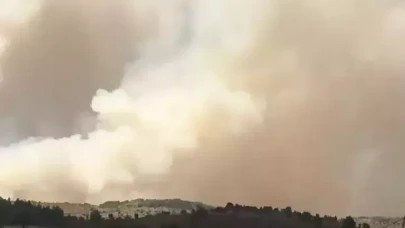 Ankara'da orman yangınlarına karşı 'açık ateş' yasağı