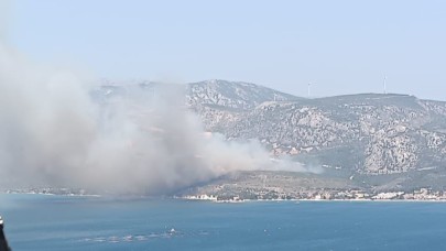 İzmir'de çıkan orman yangınına havadan ve karadan müdahale başladı