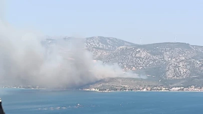 İzmir'de çıkan orman yangınına havadan ve karadan müdahale başladı