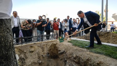 Devrilen çınar ağacı yerine yenisi dikildi