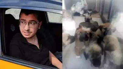 Sahiplendiği köpekleri öldürdüğü iddia edilen doktor hakkındaki iddianame kabul edildi