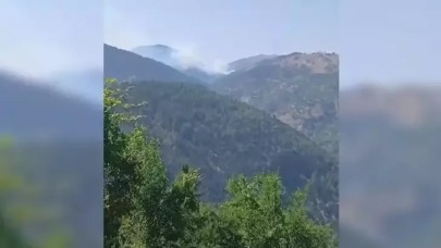 Adana'da orman yangını