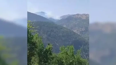 Adana'da orman yangını