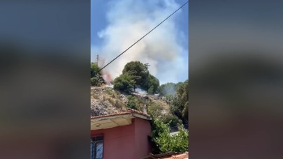 İzmir Kemalpaşa'da yangın