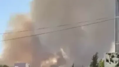 Adana'da orman yangını