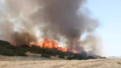 Manisa'da makilik yangını 3 saatte kontrol altında