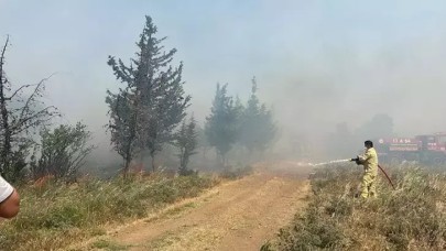 Çanakkale'de tarım arazisinde yangın