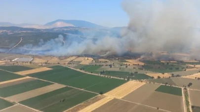 Orman yangınına havadan ve karadan müdahale
