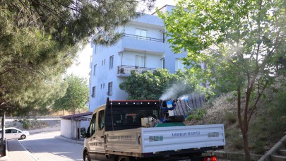 Karabağlar’da Haşerelere Karşı İlaçlama Seferberliği