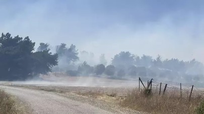 Çanakkale’de orman yangını