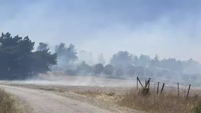 Çanakkale’de orman yangını