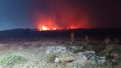 Menemen'de makilik alanda yangın