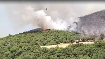 Bursa’da orman yangını