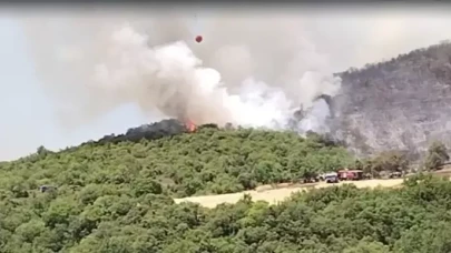 Bursa’da orman yangını