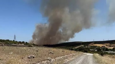 Çanakkale'de orman yangını