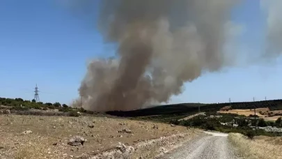 Çanakkale'de orman yangını