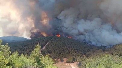 Foça'da orman yangınına havadan 11 uçakla müdahale