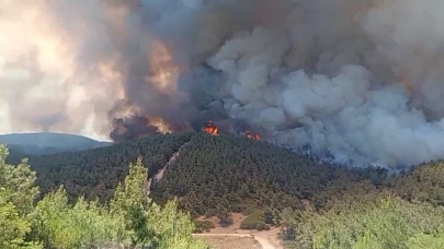 Foça'da orman yangınına havadan 11 uçakla müdahale