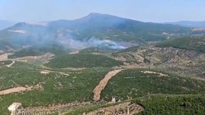 İzmir Torbalı'da orman yangınına müdahale sürüyor