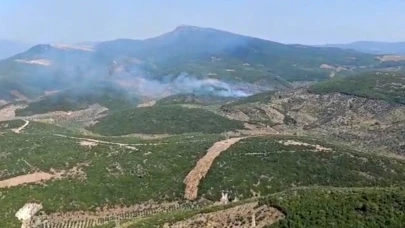 İzmir Torbalı'da orman yangınına müdahale sürüyor