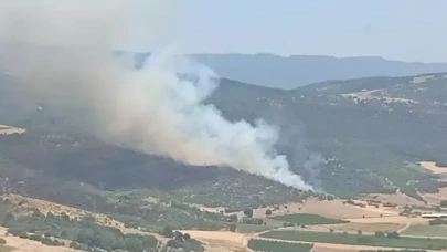 Bursa'da orman yangını