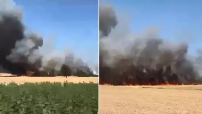 Çanakkale'de tarım arazisinde yangın