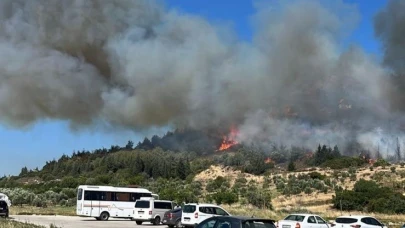 Aliağa’da bir orman yangını daha