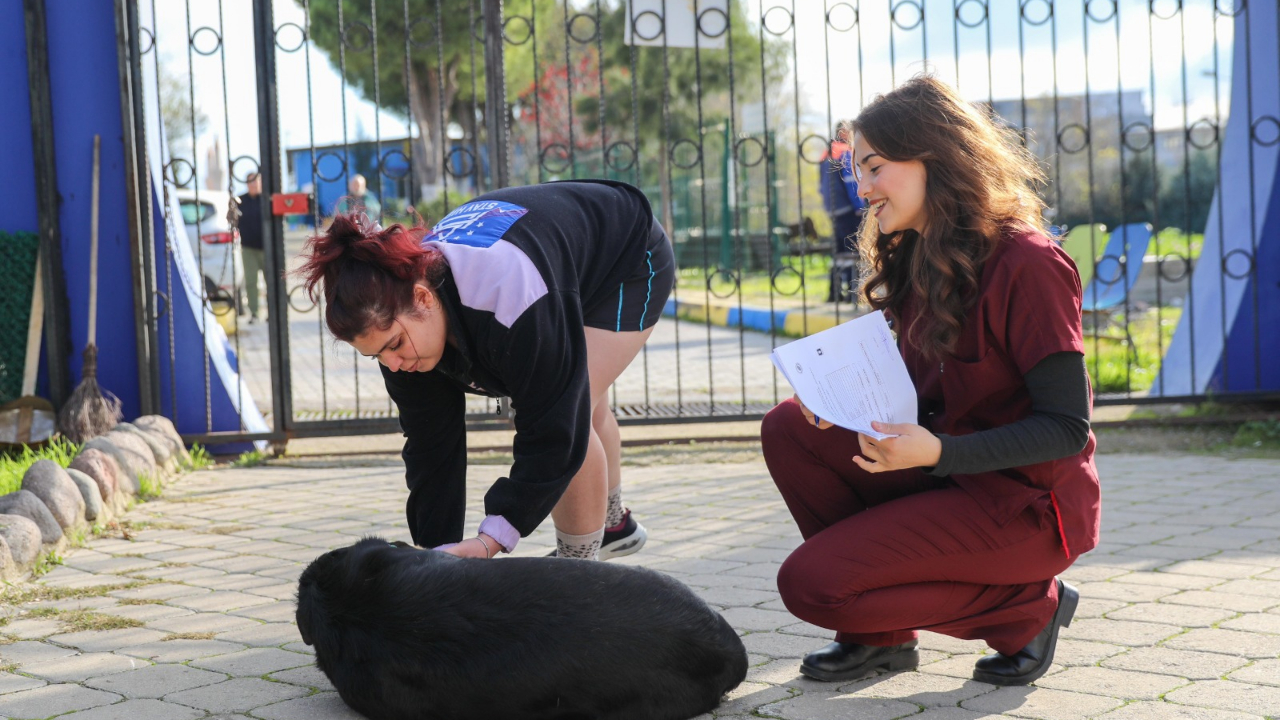 Buca’da sahiplenilen can dostlarına ücretsiz bakım