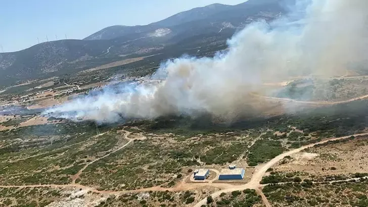 Aydın’da maki yangını