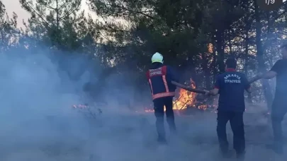 Sakarya'da çıkıp Bilecik’e sıçrayan orman yangını 3’üncü gününde