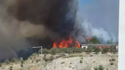 Hatay'da orman yangını