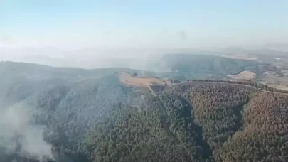 Manisa'daki orman yangını 3'üncü gününde