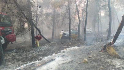Aliağa ve Foça'da orman yangınında ekiplerin zorlu mücadelesi