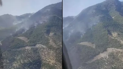 Aydın'daki orman yangını 2'nci gününde