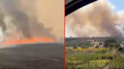 Bursa’da buğday tarlasında çıkan yangın, ağaçlık alana sıçradı