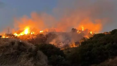 Üzerinde kene bulunan yastığı yakıp, bahçeye atınca yangın çıkmış
