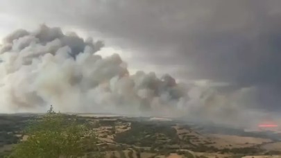 İspanya'da orman yangını